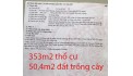 Bán đất mặt phố Phan Văn Hớn, xã Xuân Thới Thượng, địa chỉ xây công sở hoạt động tuyệt đẹp